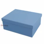 Blue Basic Carton Box
