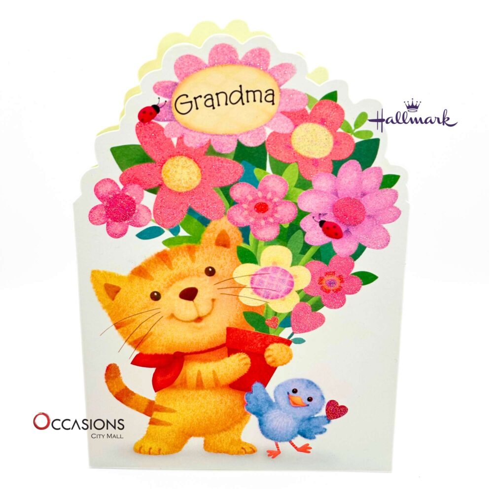 hallmark-greeting-cards-gifts-online-delivery-amman-jordan