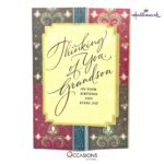 Thinking of You Grandson Birthday Card - Hallmark