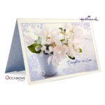 hallmark-greeting-cards-gifts-shop-online-delivery-amman-jordan