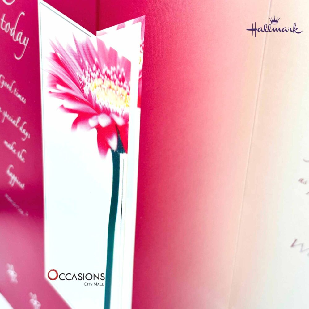 hallmark-greeting-cards-gifts-shop-online-delivery-amman-jordan