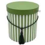 Cylinder Strips Box - Green