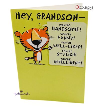 Tiger Cheer Grandson Birthday Card Playful Hallmark Grandson Birthday Greeting Card Order Online with Same Day Delivery in Amman Send smiles with this fun Hallmark Grandson Birthday greeting card! With a cheerful cartoon tiger and uplifting words, it’s the perfect way to show love and pride. Available at the best gift shop in Amman. Order online now with greeting cards delivery and same day delivery in Amman, Jordan.