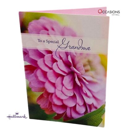 Special Grandma Birthday Greeting Card Floral Birthday Greeting Card For Grandma Special Hallmark Grandma Birthday Greeting Card Order Online with Same Day Delivery in Amman Show your love with this beautiful Hallmark Grandma Birthday greeting card. Featuring a sweet floral design, it’s perfect for celebrating a wonderful grandma’s special day. Order online now from the best gift shop in Amman, Jordan, with same day delivery. Our gift shop specializes in gifts and greeting cards delivery across Amman. Shop Hallmark greeting cards and make her day unforgettable with our fast and easy service.