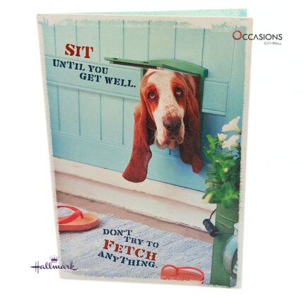Red-Eyed Doggy Get Well Soon Greeting Card Doggy Hallmark Get Well Soon Greeting Card Order Online with Same Day Delivery in Amman Brighten someone's day with this heartfelt Hallmark Get Well Soon greeting card. Designed to inspire courage and grace, it’s a perfect way to show you care. Order online for same day delivery from the best gift shop in Amman. Enjoy fast greeting cards delivery when you order greeting cards online in Amman Jordan today.