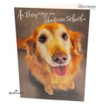 "Heal" Get Well Soon Greeting Card Smiling Doggy Hallmark Get Well Soon Greeting Card Order Online with Same Day Delivery in Amman Bring a smile with this adorable Hallmark Get Well Soon greeting card, featuring a sweet dog and a simple "Heal" message. Perfect for sending warm wishes during recovery. Order online with same day delivery from the best gift shop in Amman! We specialize in Hallmark greeting cards, offering greeting cards delivery in Amman Jordan. Order greeting cards online in Amman Jordan today and show you care in the sweetest way!