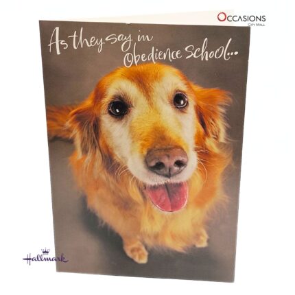 "Heal" Get Well Soon Greeting Card Smiling Doggy Hallmark Get Well Soon Greeting Card Order Online with Same Day Delivery in Amman Bring a smile with this adorable Hallmark Get Well Soon greeting card, featuring a sweet dog and a simple "Heal" message. Perfect for sending warm wishes during recovery. Order online with same day delivery from the best gift shop in Amman! We specialize in Hallmark greeting cards, offering greeting cards delivery in Amman Jordan. Order greeting cards online in Amman Jordan today and show you care in the sweetest way!