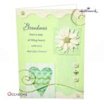 Grandma's Birthday Greeting Card Green Hallmark Grandma's Birthday Greeting Card Order Online with Same Day Delivery in Amman Show your grandma how much she means with this elegant Hallmark Grandma Birthday Greeting Card. Featuring soft colors and a heartfelt design, it’s a perfect choice to send love and smiles. Order online today and enjoy same day delivery with the best gift shop in Amman. We specialize in greeting cards delivery and offer the best Hallmark greeting cards for every occasion.