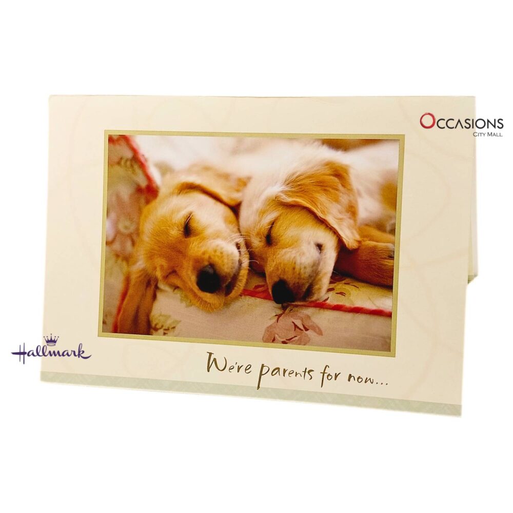 Parent for Life Father's Day Greeting Card