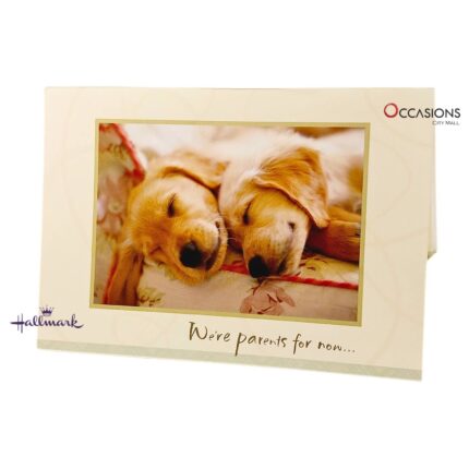 Parent for Life Father's Day Greeting Card