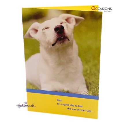 Sunny Dog Father's Day Greeting Card
