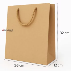 Kraft Gift Bag