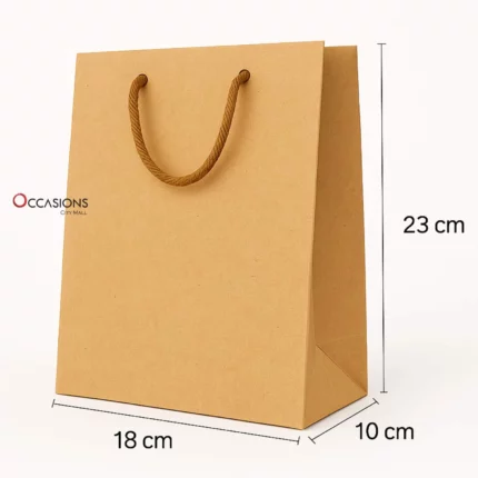 Carton Gift Bag Kraft 23x18x10cm
