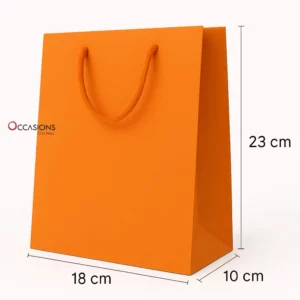 Orange Gift Bag