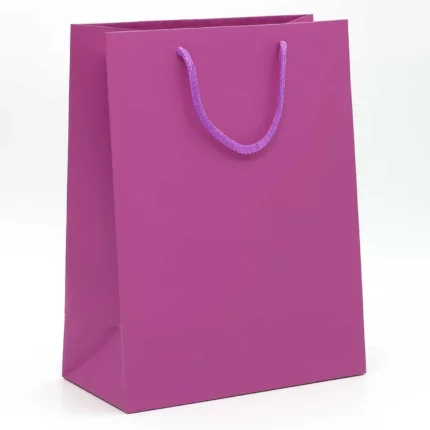 Purple Gift Bag