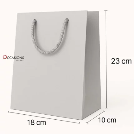 Silver Gift Bag