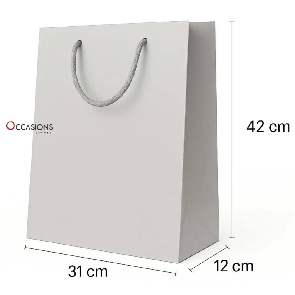 Silver Gift Bag