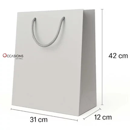 Silver Gift Bag