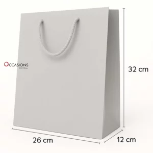 Silver Gift Bag