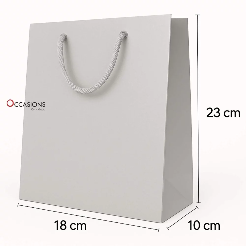silver gift bag