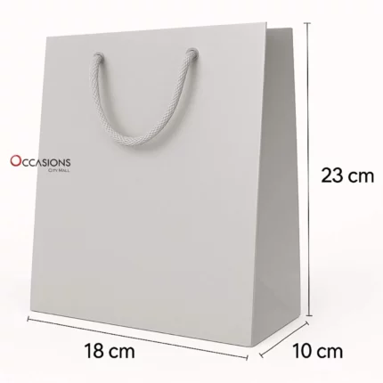 silver gift bag