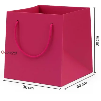 Fuchsia Gift Bag