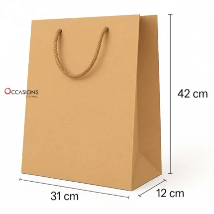 Kraft Gift Bag