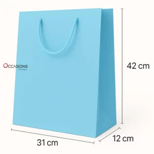 Light Blue Gift Bag