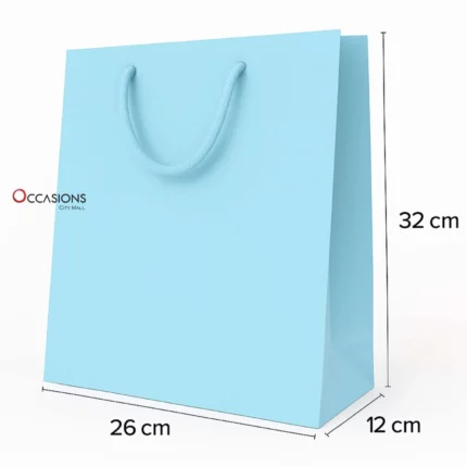 Light Blue Gift Bag