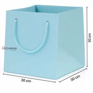 Light Blue gift bag