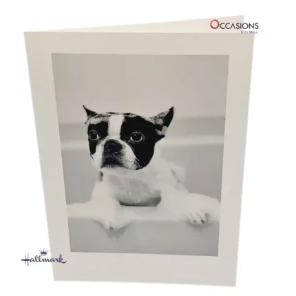 Your Dog Misses You Card - Hallmark