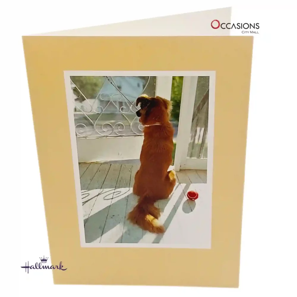 Let Me Come With You, Dog Card - Hallmark