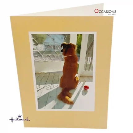 Let Me Come With You, Dog Card - Hallmark