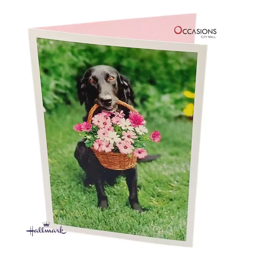 Dog with Birthday Flowers - Hallmark