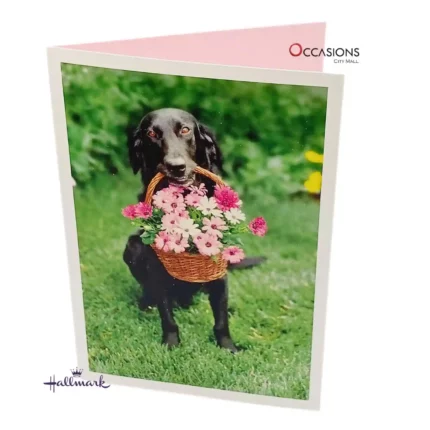 Dog with Birthday Flowers - Hallmark