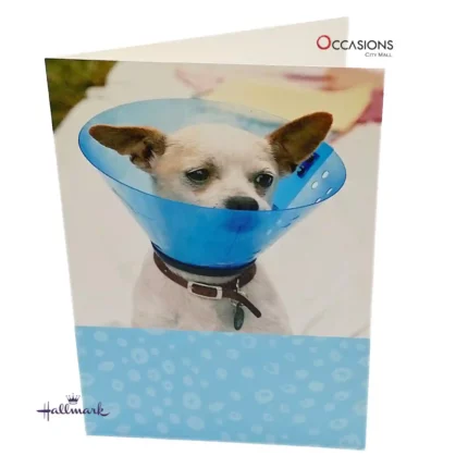Martini Dog Humor Card - Hallmark