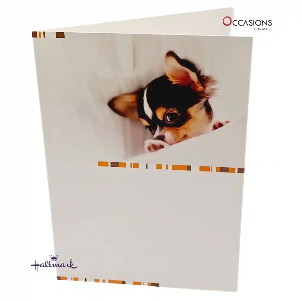 Your Shy and Loving Dog - Hallmark