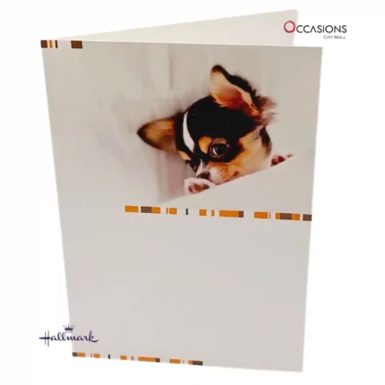 Your Shy and Loving Dog - Hallmark