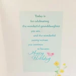 Birthday Card for A Wonderful Granddaughter - Hallmark