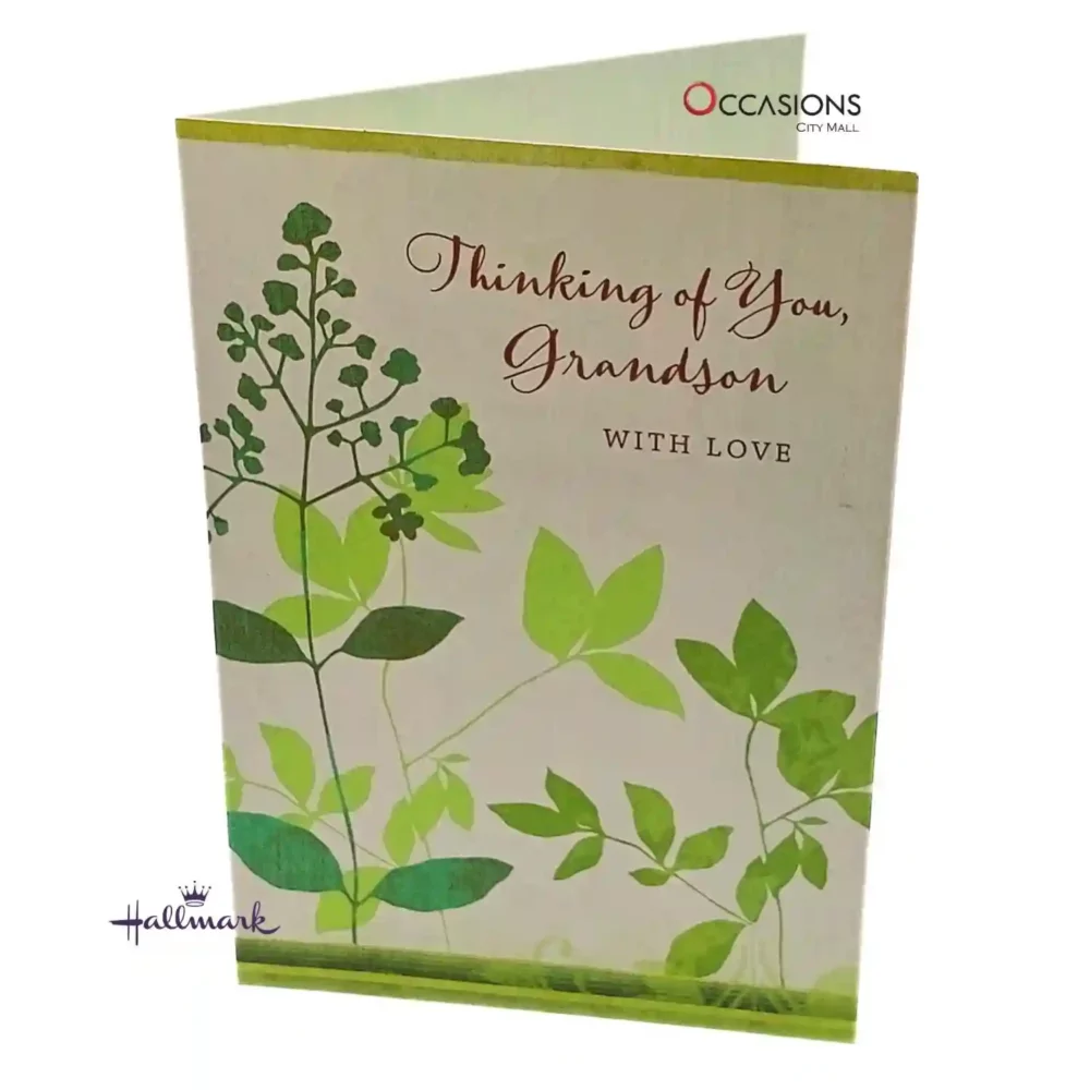 Birthday Card for the Special Grandson - Hallmark