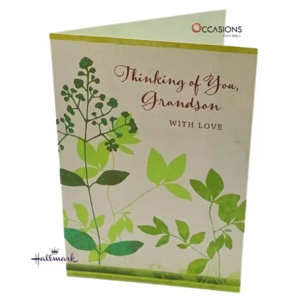 Birthday Card for the Special Grandson - Hallmark