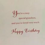 Birthday Card for the Special Grandson - Hallmark