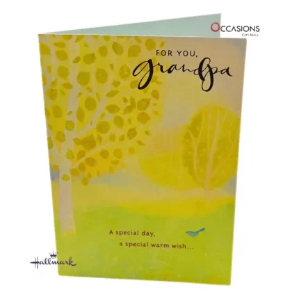Special Grandpa Greeting Card - Hallmark