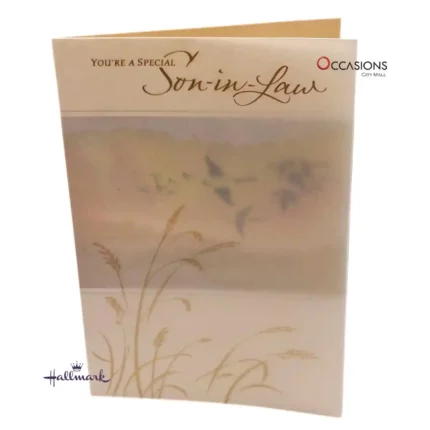 Special Son-in-Law Brown Birthday Greeting Card - Hallmark