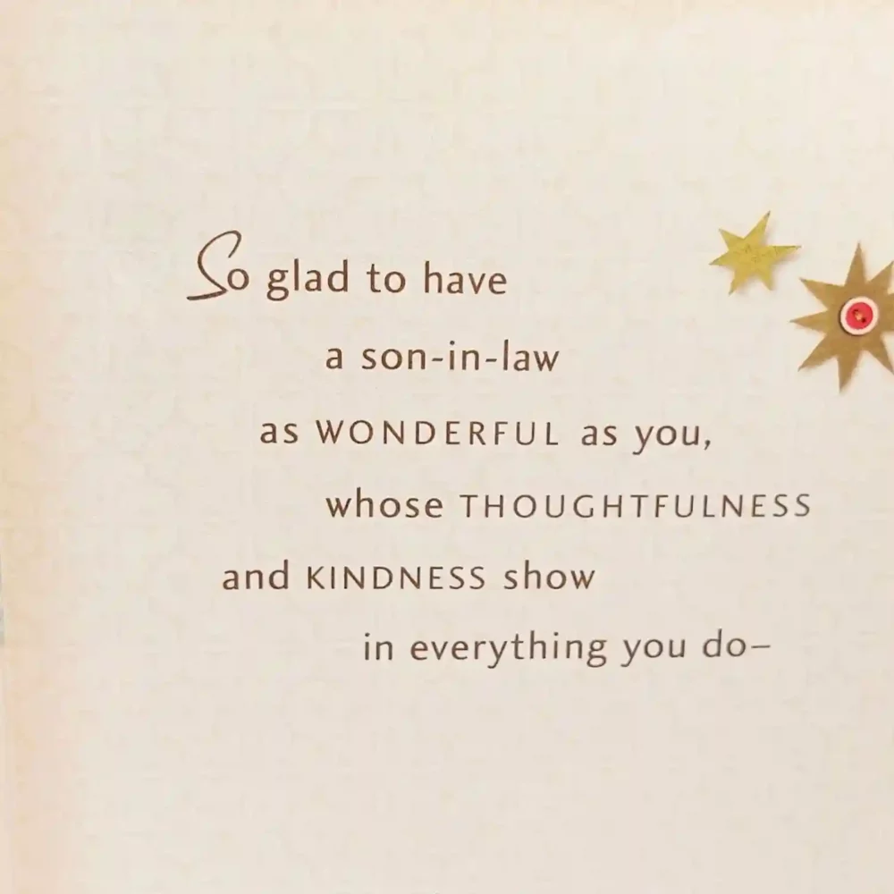 Wonderful Son-in-Law Birthday Greeting Card - Hallmark