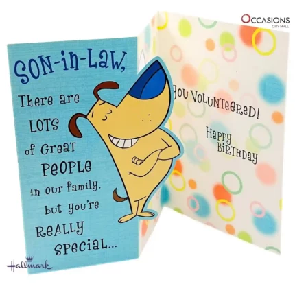 Special Son-in-Law Birthday Greeting Card - Hallmark
