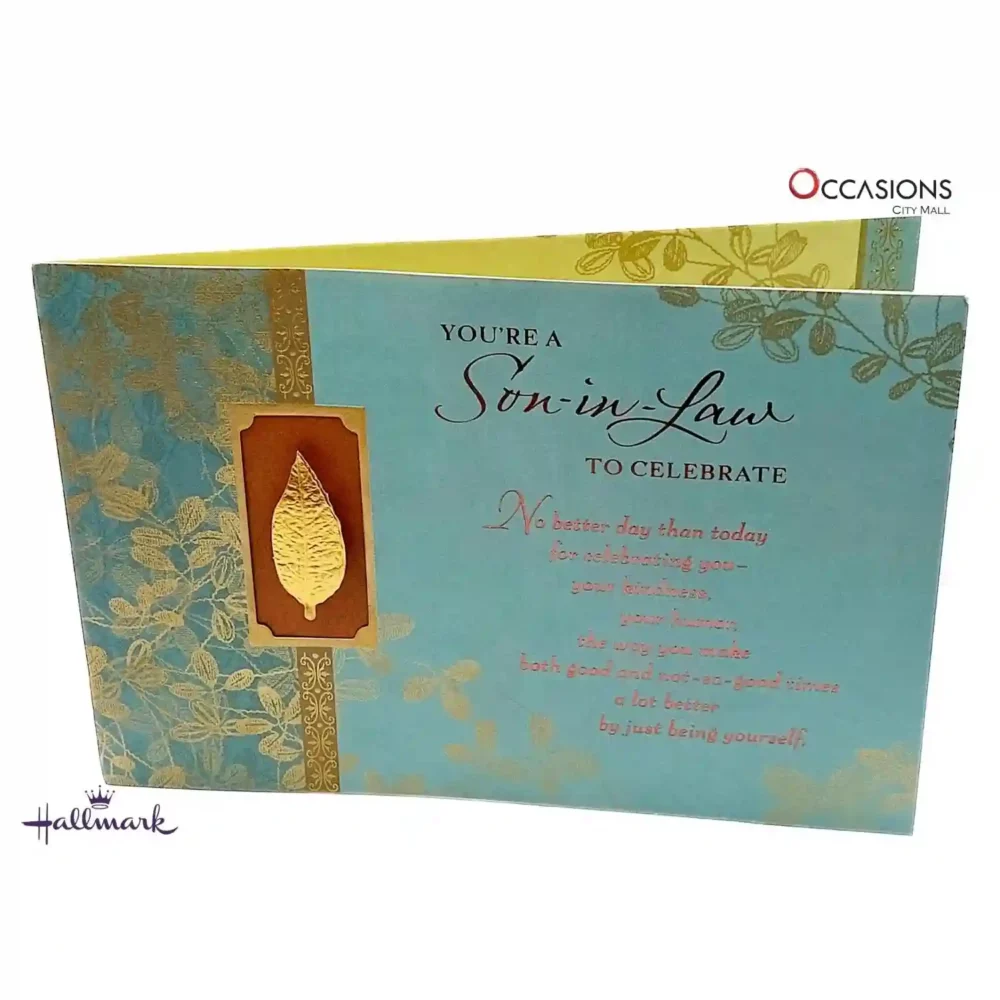 Son-in-Law Birthday Greeting Card - Hallmark