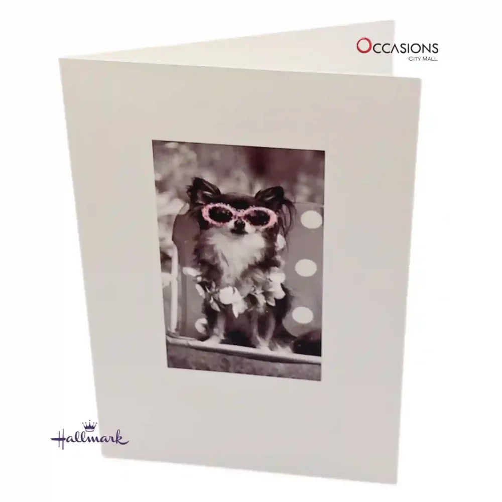 Stylish Pup with Sunglasses Card - Hallmark