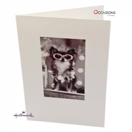 Stylish Pup with Sunglasses Card - Hallmark