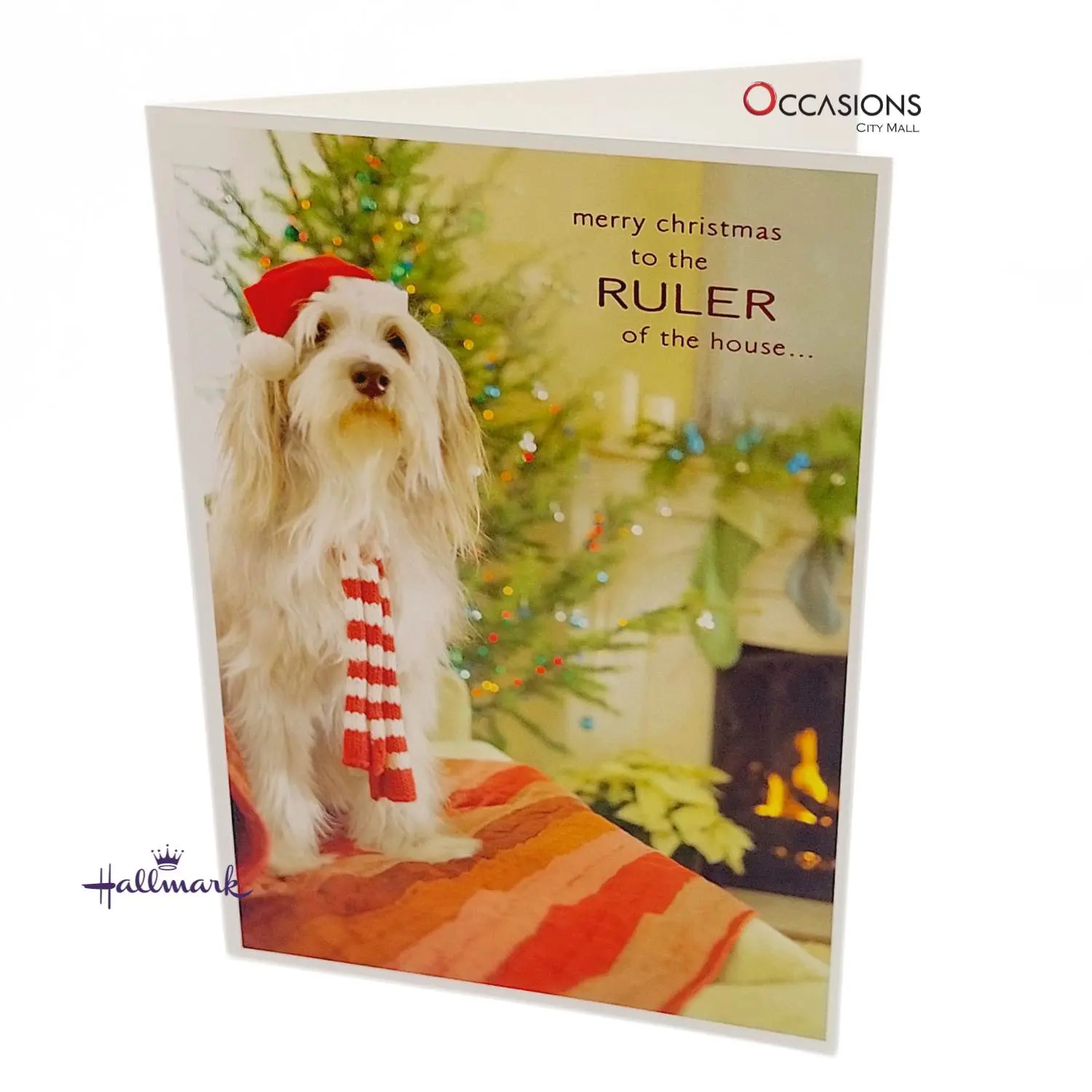 2025-10-11 16.08.59.as House Ruler Dog Christmas Card